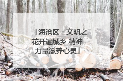 海沧区：文明之花开遍城乡 精神力量滋养心灵
