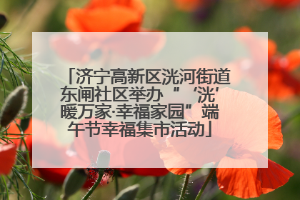 济宁高新区洸河街道东闸社区举办“‘洸’暖万家·幸福家园”端午节幸福集市活动