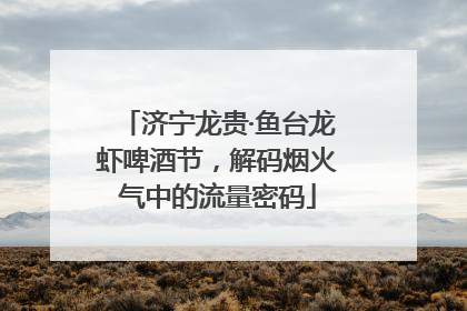 济宁龙贵·鱼台龙虾啤酒节，解码烟火气中的流量密码