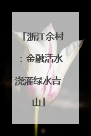浙江余村：金融活水浇灌绿水青山