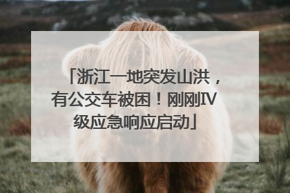 浙江一地突发山洪，有公交车被困！刚刚Ⅳ级应急响应启动