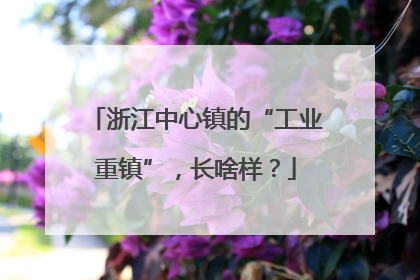 浙江中心镇的“工业重镇”，长啥样？