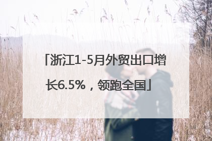 浙江1-5月外贸出口增长6.5%，领跑全国