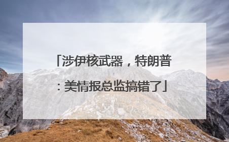 涉伊核武器，特朗普：美情报总监搞错了