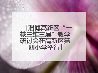 淄博高新区“一核三维三层”教学研讨会在高新区第四小学举行