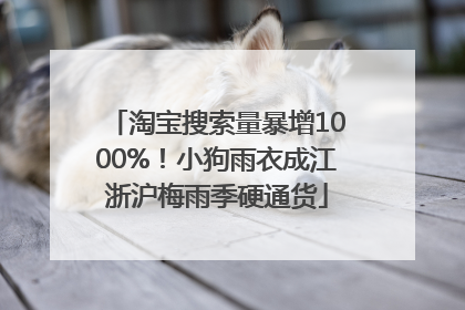 淘宝搜索量暴增1000%！小狗雨衣成江浙沪梅雨季硬通货