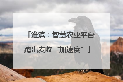 淮滨：智慧农业平台跑出麦收“加速度”