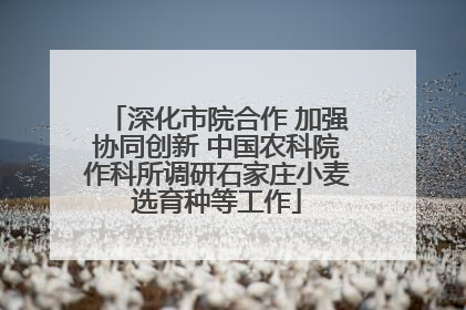 深化市院合作 加强协同创新 中国农科院作科所调研石家庄小麦选育种等工作