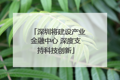 深圳将建设产业金融中心 深度支持科技创新