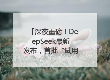 深夜重磅！DeepSeek最新发布，首批“试用体验”出炉→