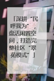 深耕“民呼我为”，盘活闲置空间，打造完整社区“翠苑模式”