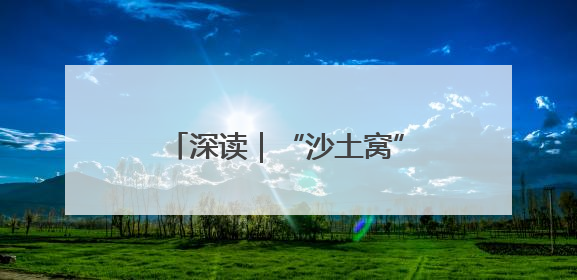 深读｜“沙土窝”里飞出“金蝉宝”