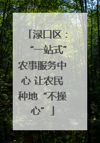 渌口区：“一站式”农事服务中心 让农民种地“不操心”