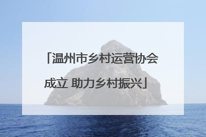 温州市乡村运营协会成立 助力乡村振兴