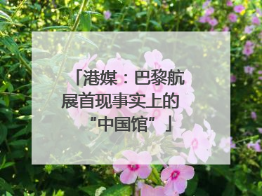 港媒：巴黎航展首现事实上的“中国馆”