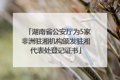 湖南省公安厅为5家非洲驻湘机构颁发驻湘代表处登记证书