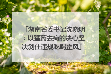 湖南省委书记沈晓明：以猛药去疴的决心坚决刹住违规吃喝歪风