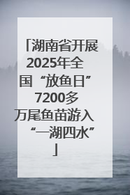 湖南省开展2025年全国“放鱼日” 7200多万尾鱼苗游入“一湖四水”