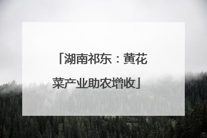 湖南祁东：黄花菜产业助农增收