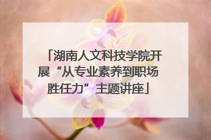 湖南人文科技学院开展“从专业素养到职场胜任力”主题讲座