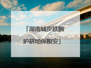 湖南城步铁腕护耕地保粮安