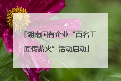 湖南国有企业“百名工匠传薪火”活动启动