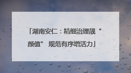 湖南安仁：精细治理靓“颜值” 规范有序增活力