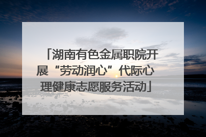 湖南有色金属职院开展“劳动润心”代际心理健康志愿服务活动