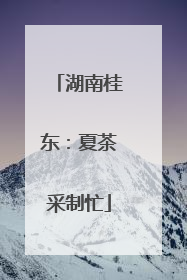 湖南桂东：夏茶采制忙