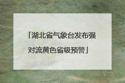 湖北省气象台发布强对流黄色省级预警