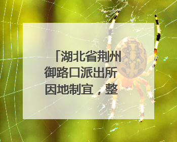 湖北省荆州御路口派出所因地制宜，整合多方力量共建平安校园