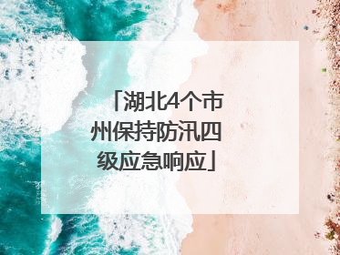 湖北4个市州保持防汛四级应急响应