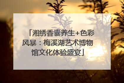 湘绣香囊养生+色彩风暴：梅溪湖艺术博物馆文化体验盛宴