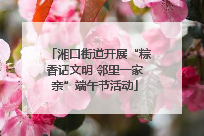 湘口街道开展“粽香话文明 邻里一家亲”端午节活动