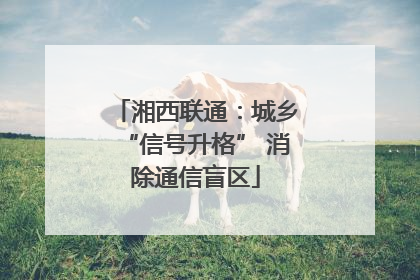 湘西联通：城乡“信号升格” 消除通信盲区