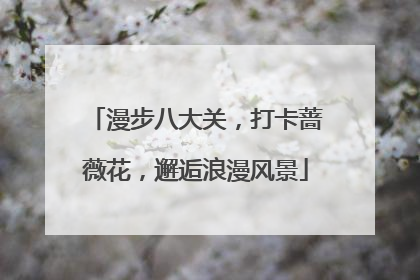 漫步八大关，打卡蔷薇花，邂逅浪漫风景