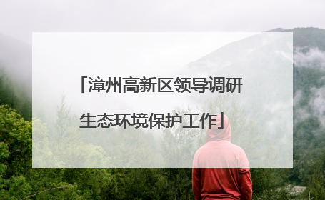 漳州高新区领导调研生态环境保护工作