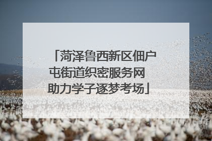 菏泽鲁西新区佃户屯街道织密服务网 助力学子逐梦考场