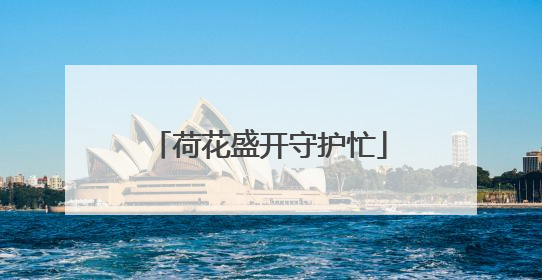 荷花盛开守护忙
