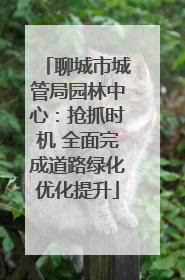 聊城市城管局园林中心：抢抓时机 全面完成道路绿化优化提升