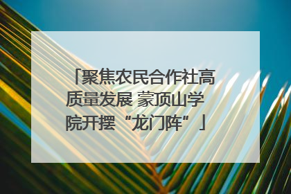 聚焦农民合作社高质量发展 蒙顶山学院开摆“龙门阵”
