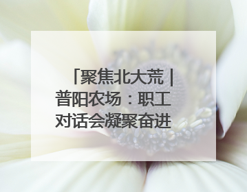 聚焦北大荒｜普阳农场：职工对话会凝聚奋进“强磁场”
