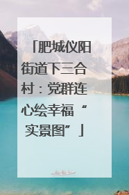 肥城仪阳街道下三合村：党群连心绘幸福“实景图”