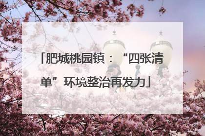 肥城桃园镇：“四张清单”环境整治再发力