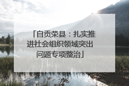 自贡荣县：扎实推进社会组织领域突出问题专项整治