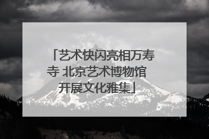艺术快闪亮相万寿寺 北京艺术博物馆开展文化雅集
