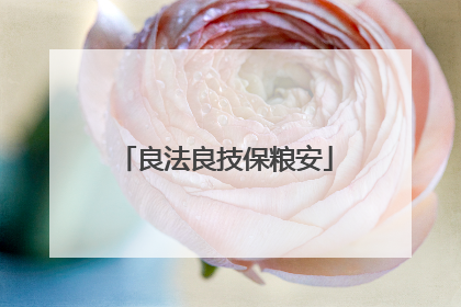 良法良技保粮安