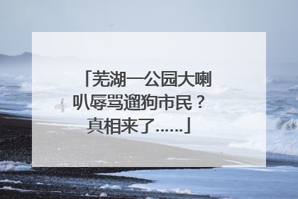 芜湖一公园大喇叭辱骂遛狗市民？真相来了……