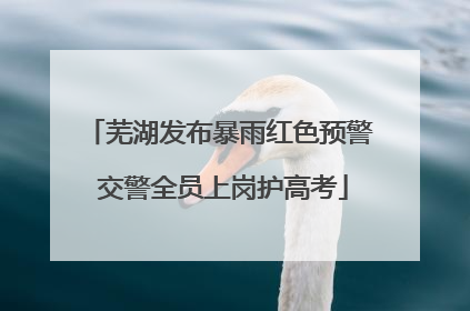 芜湖发布暴雨红色预警 交警全员上岗护高考
