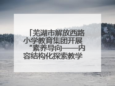 芜湖市解放西路小学教育集团开展“素养导向——内容结构化探索教学实践”数学专题研讨活动